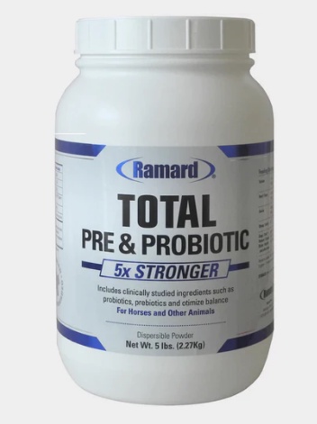 Benefits of Supplementing with Complete Probiotics and Prebiotics