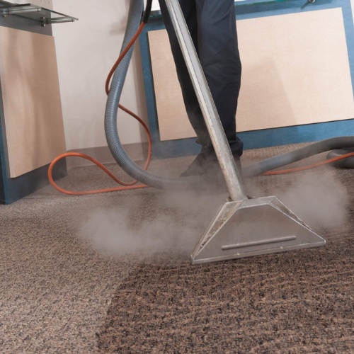 Stain Busters: The Homeowner's Handbook for Immaculate Carpets