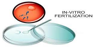 Navigating Infertility: Comprehensive IVF Services in Mohali