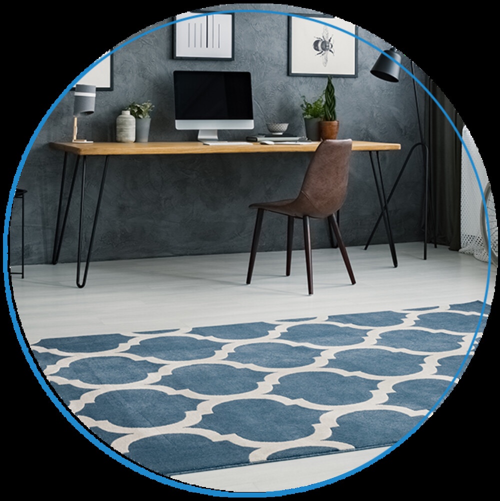 Revitalize Your Space with Premier Pet Enzyme Cleaner for Area Rugs