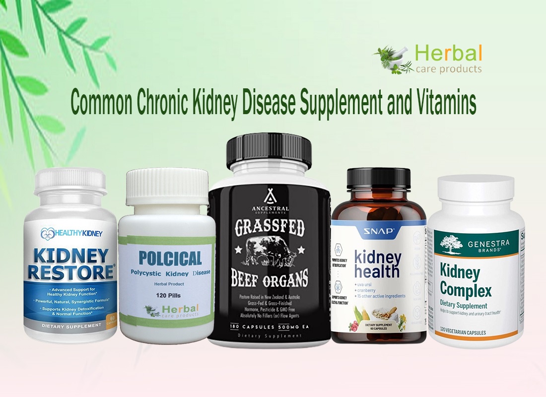 Supplements That Support Kidney Function and Overall Health