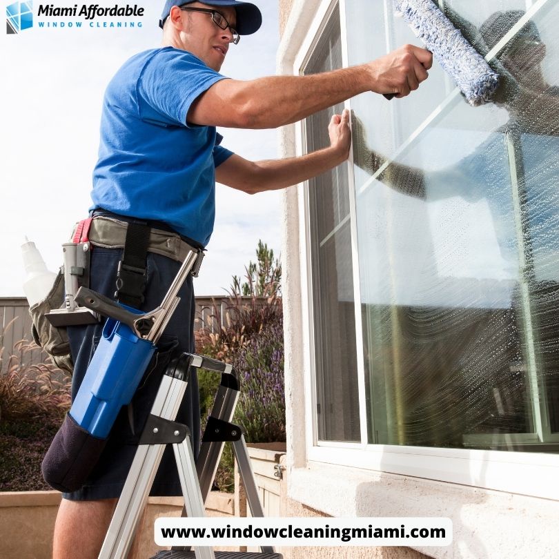 Unpacking the Influence of Window Cleaning on Your Living Environment