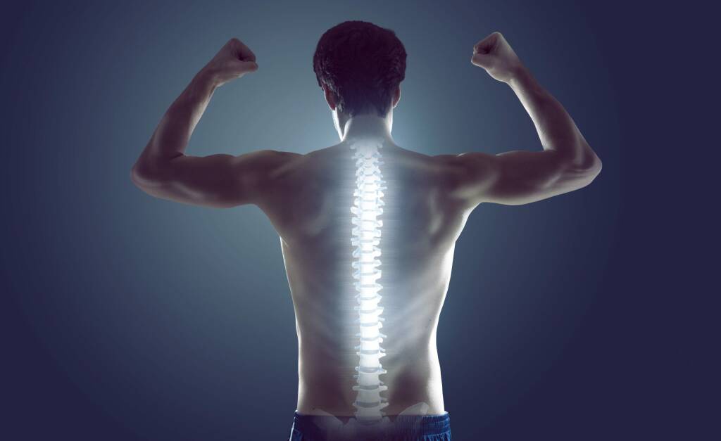 Unlocking the Lifelong Wellness and The Crucial Role of Early Spine Health Assessment