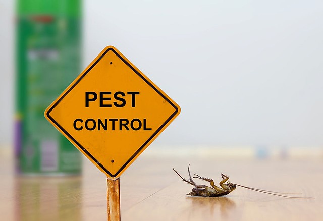 The Pest Exterminator's Playbook: Tactics & Strategies