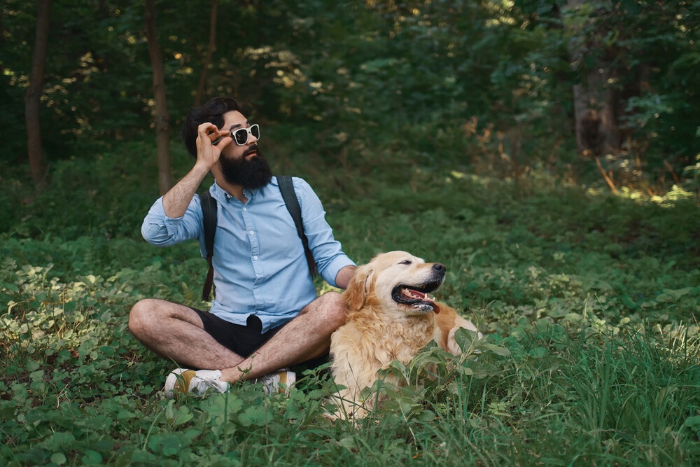 5 Ways How Storytelling Can Elevate Animal Photography in the UK