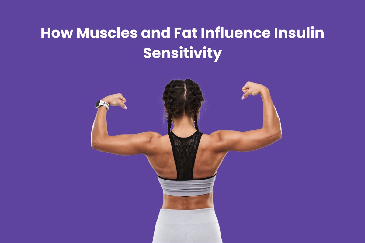 How Muscles and Fat Influence Insulin Sensitivity