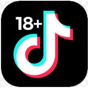 The Pulse of TikTok: Unveiling the Cultural Impact of Today's Most Popular Videos