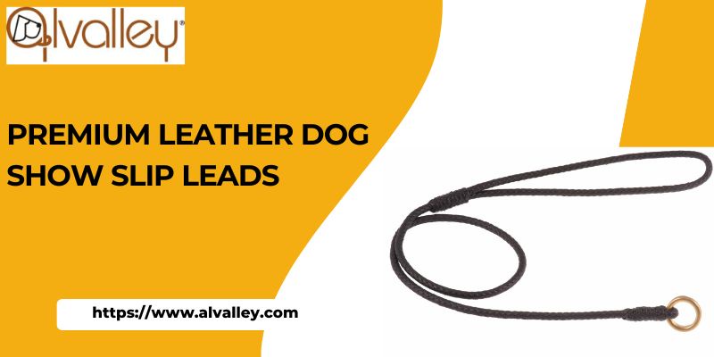 Elevate Your Dog's Style and Control with Premium Leather Dog Show Slip Leads