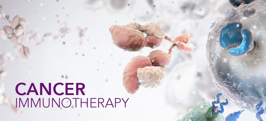 Revolutionizing Cancer Care: Immunotherapy's Role in Preventing and Treating Early-Stage Cancer