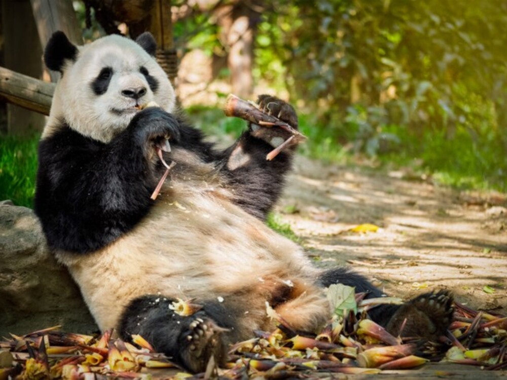 The Unique Attractions of a Photo Trip to China