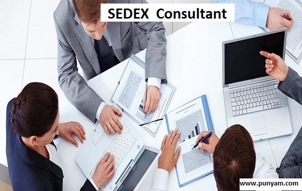 All You Need TO Know About SEDEX Certification