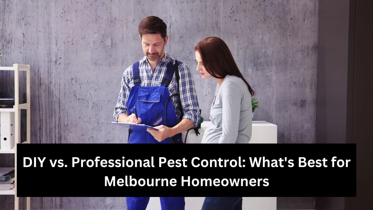 DIY vs. Professional Pest Control: What's Best for Melbourne Homeowners