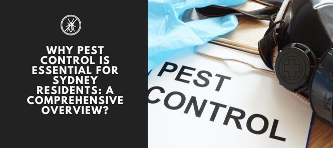 Why Pest Control is Essential for Sydney Residents: A Comprehensive Overview?