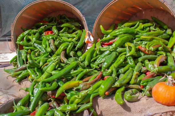 Health Benefits of New Mexico Green Chile