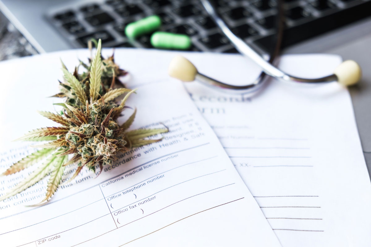 How Medical Marijuana Certifications Can Help Manage Chronic Pain