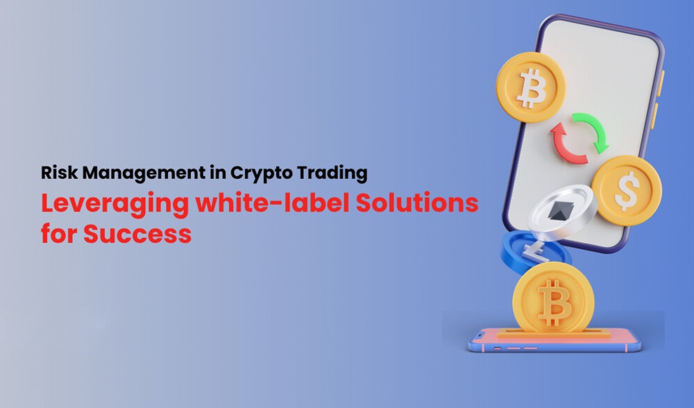 Risk Management in Crypto Trading: Leveraging white-label Solutions for Success