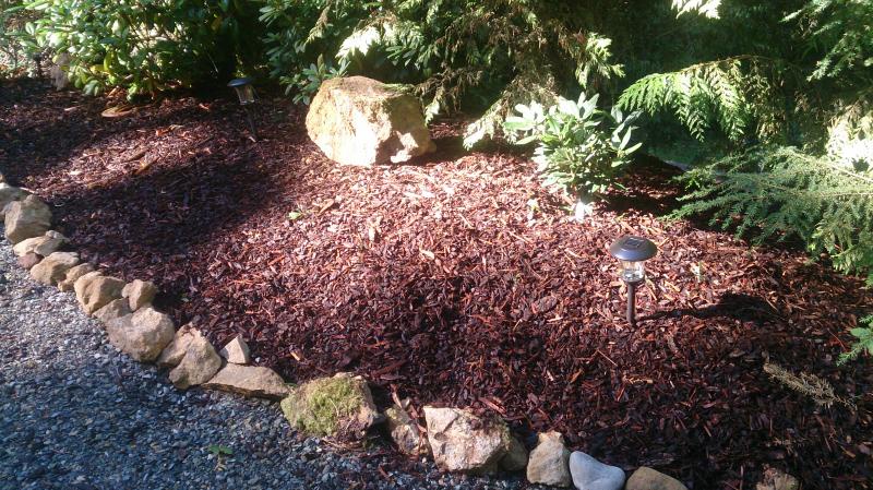 Landscaping Excellence: Bark Mulch Options in Everett, WA and Bark Chips in Seattle, WA