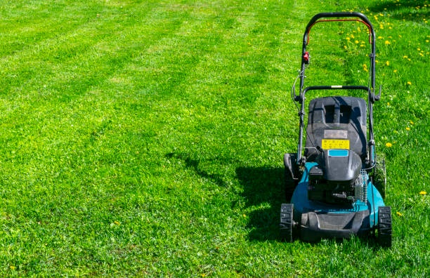 Savings Meet Splendor: Unbeatable Value in Every Affordable Lawn Care Package