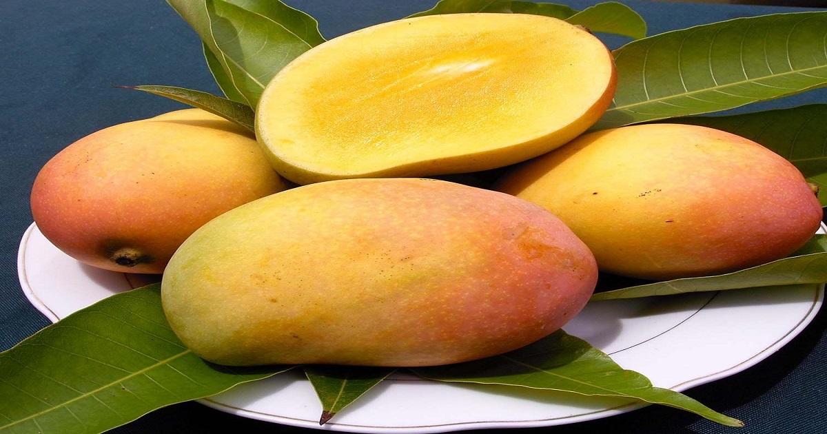 Quality Standards of Mango Companies in Pakistan