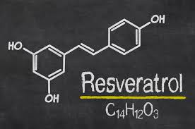 Does Resveratrol Lower Cholesterol