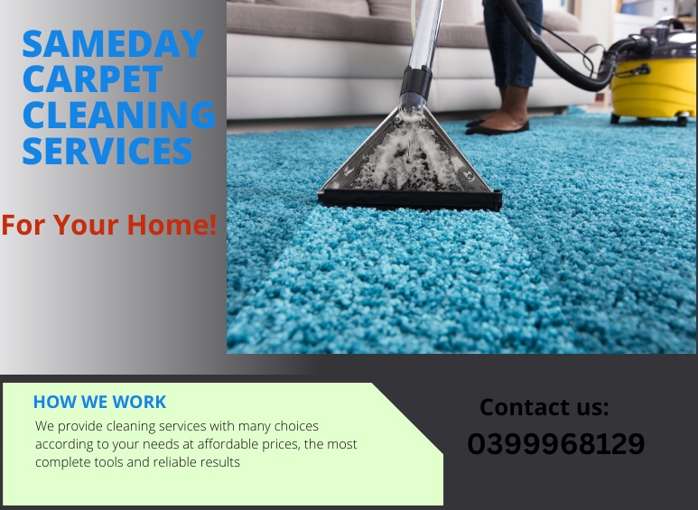 From Dingy to Divine: Transforming Your Home with Expert Carpet Cleaning Services
