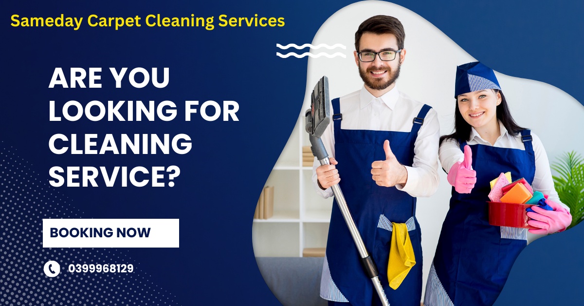 Instant Clean Magic: Carpet Cleaning Services for Busy Lives