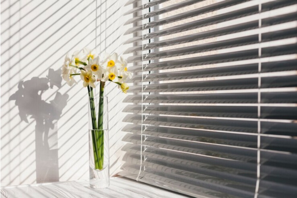 Window Dressing 101: Choosing Blinds in Solihull