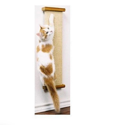 Purrfect Picks: Find the Best Cat Scratching Post Online for Your Feline Friend!