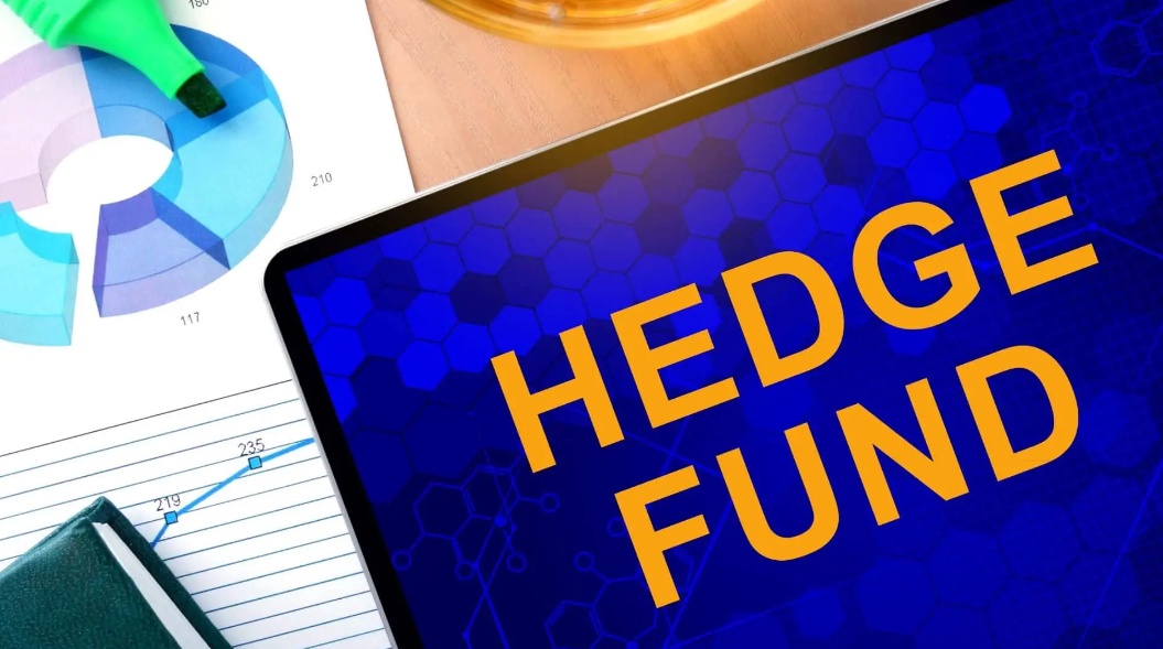 What is a hedge fund and its importance in real life?