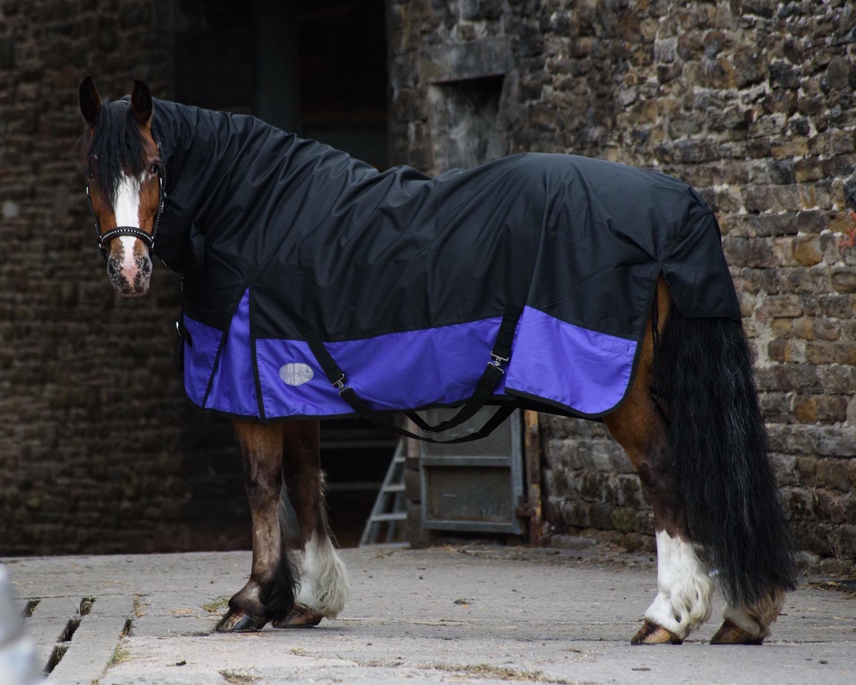 Benefits of Using Horse Rugs for Performance and Health