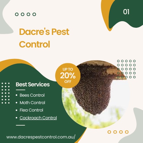 When to Seek Professional Help for Pest Problems