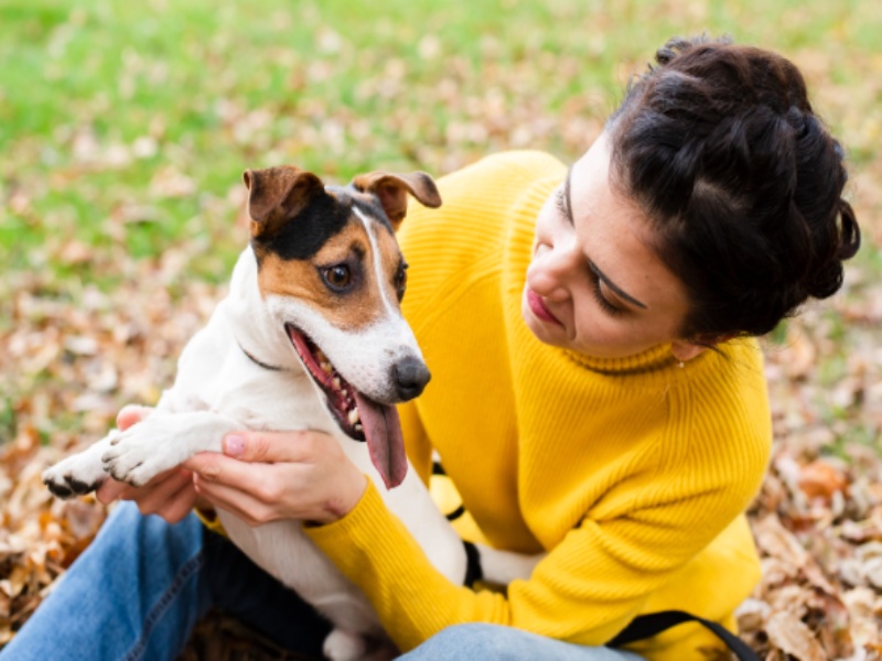 Understanding Fair Housing Act: Safeguarding Emotional Support Animals