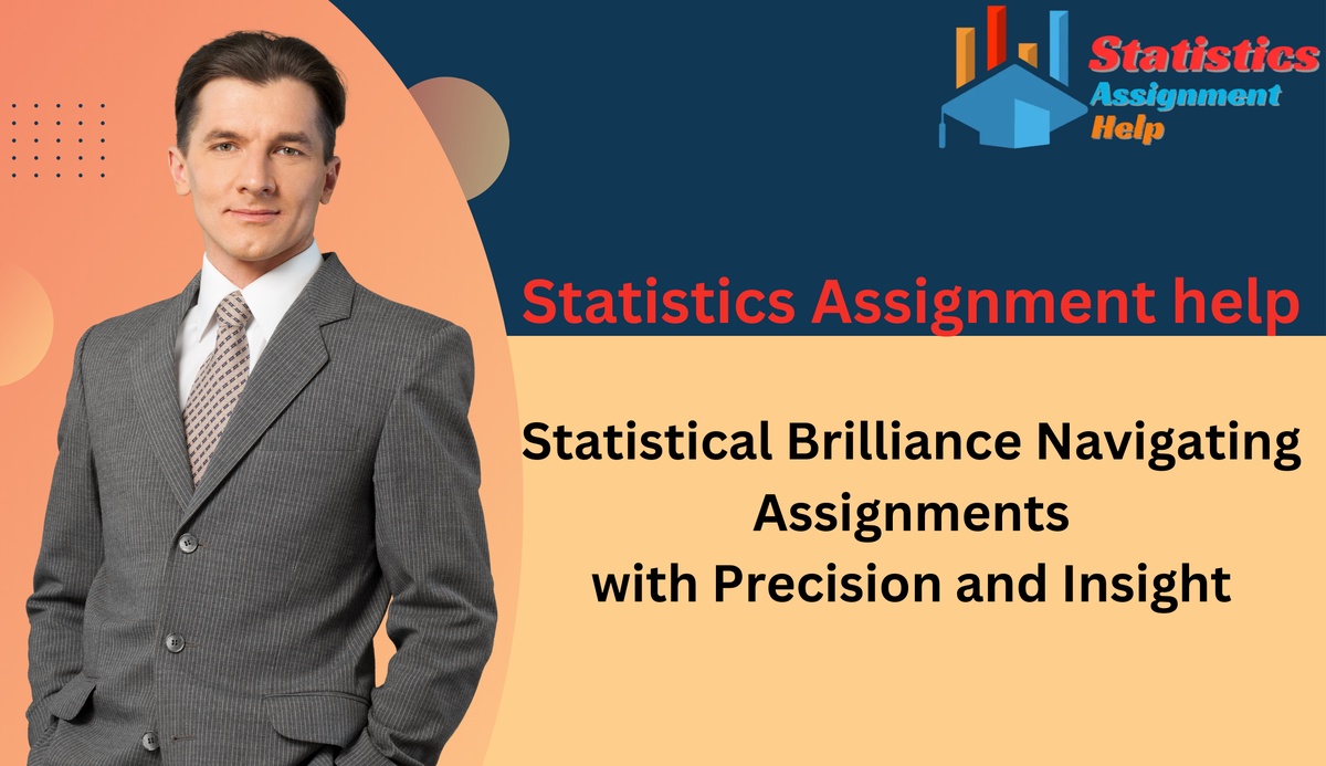 Statistical Brilliance Navigating Assignments with Precision and Insight