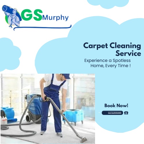 Revitalize Your Space: GS Murphy's Premium Carpet Cleaning