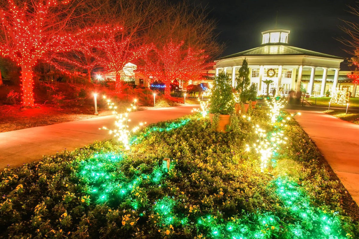 7 Signs You Need Permanent Outdoor Christmas Lights in Canada: A Statistical Perspective