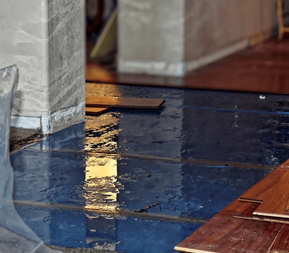 The Importance of Immediate Water Damage Cleanup: Tips from a  St. Petersburg, FL Expert