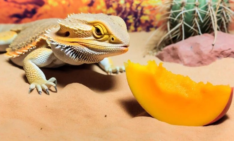 Enhancing Your Bearded Dragon's Diet With Natural Supplements