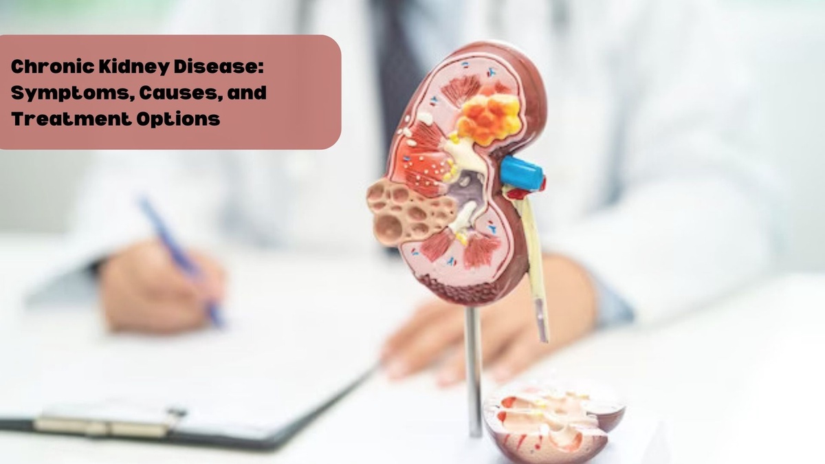 Chronic Kidney Disease: Symptoms, Causes, and Treatment Options