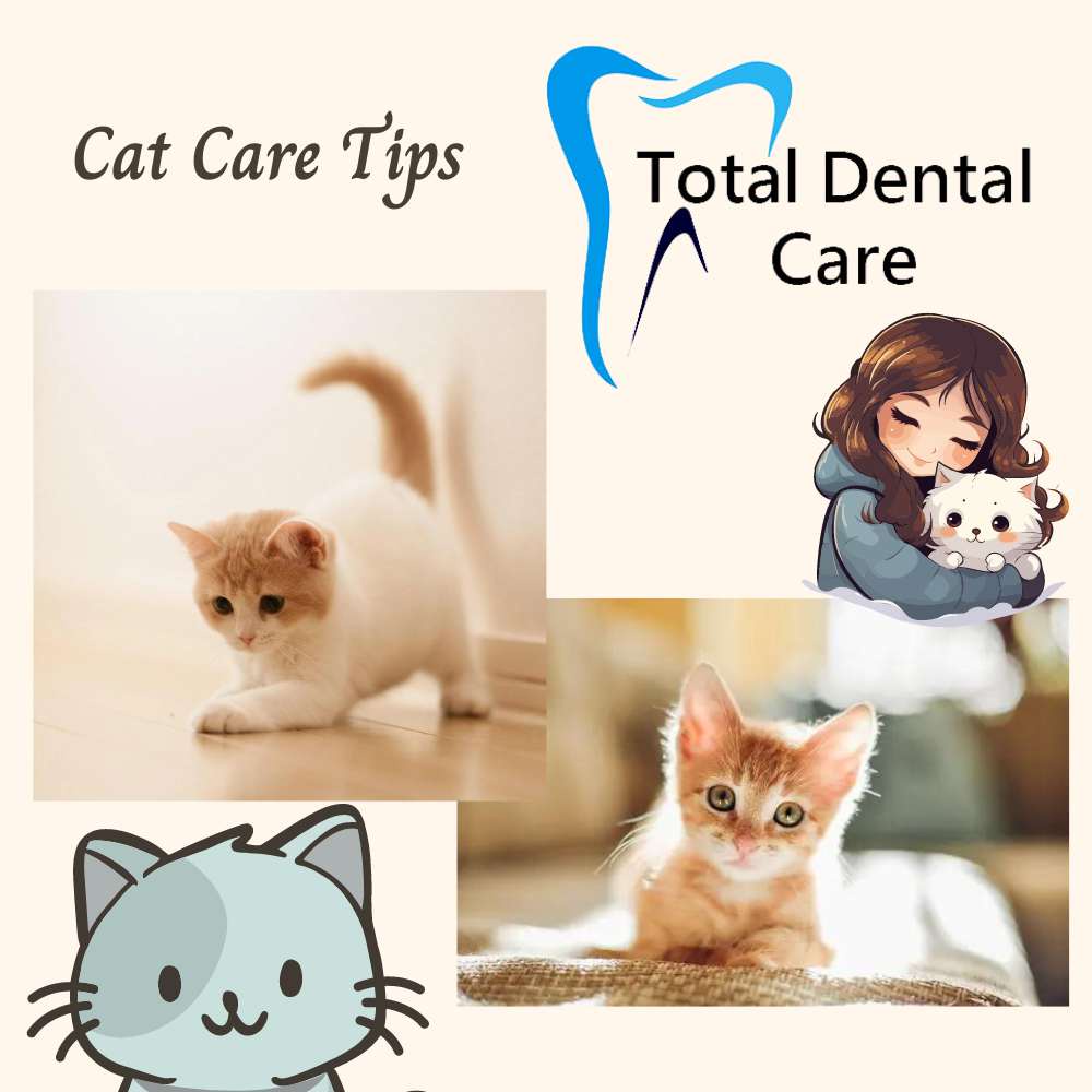 Cat age by teeth : A Comprehensive Guide to Cat Teeth Care