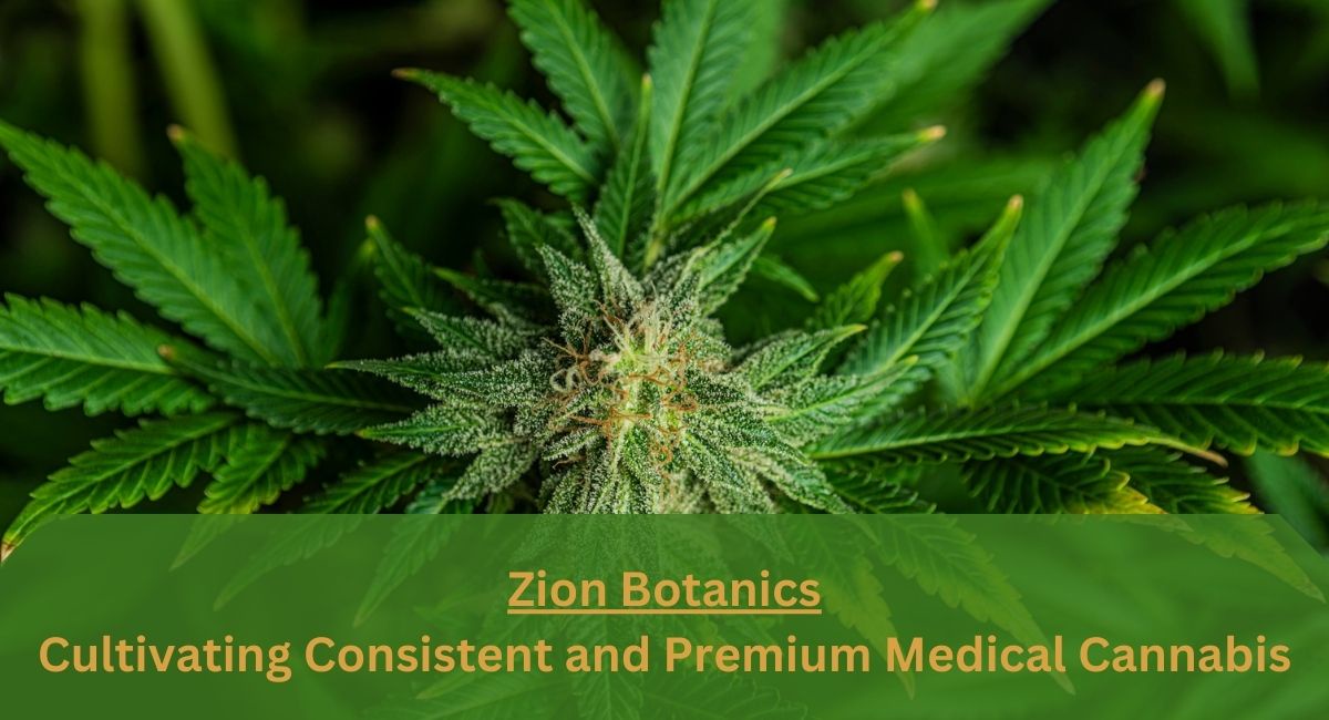Zion Botanics: Cultivating Consistent and Premium Medical Cannabis