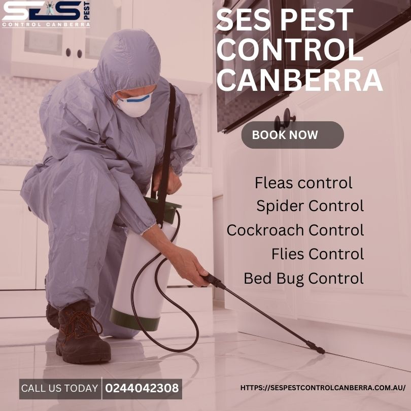 Removing Fleas: Effective Flea Control Services in Canberra