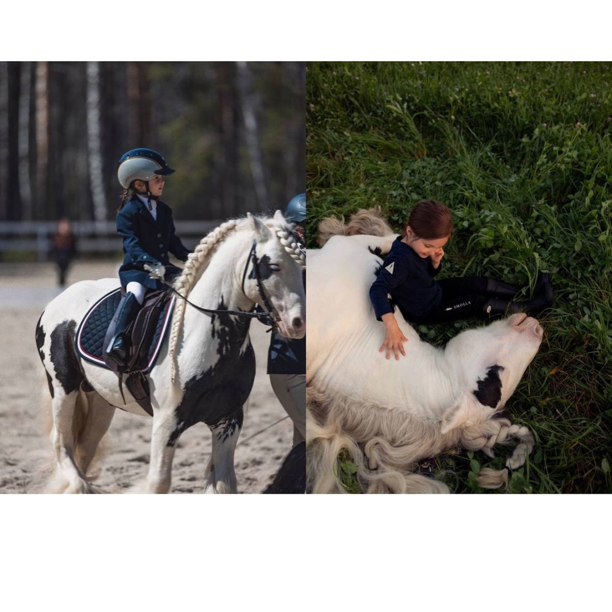 Ekaterina Smolla's Horse Chronicles: Moose, Elsa, Ziggy, and More