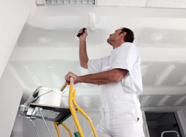 Enhance Your Space with Trusted Professional Painters in Chicago