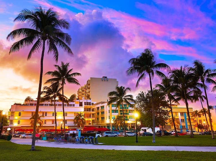 5 Fun Things to Do in Miami 2024
