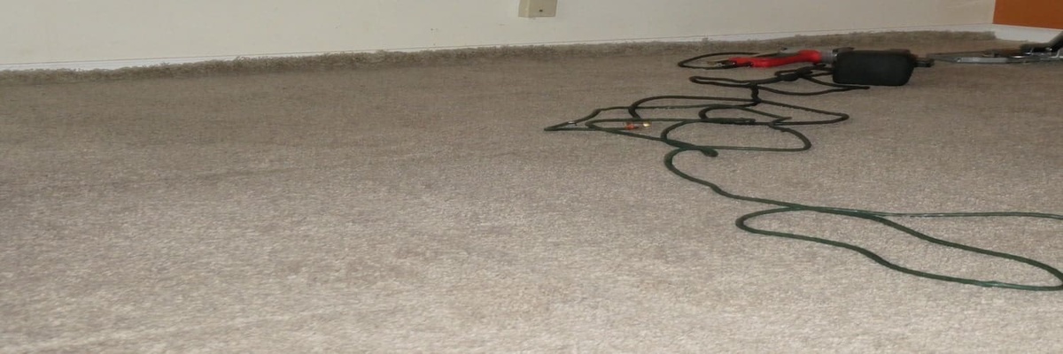 What to Expect From All Colors Carpet Cleaning, Our Best Carpet Cleaning Deals