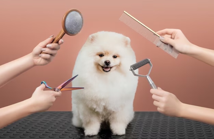 A Useful Guide to Dog Grooming in the Winter Season