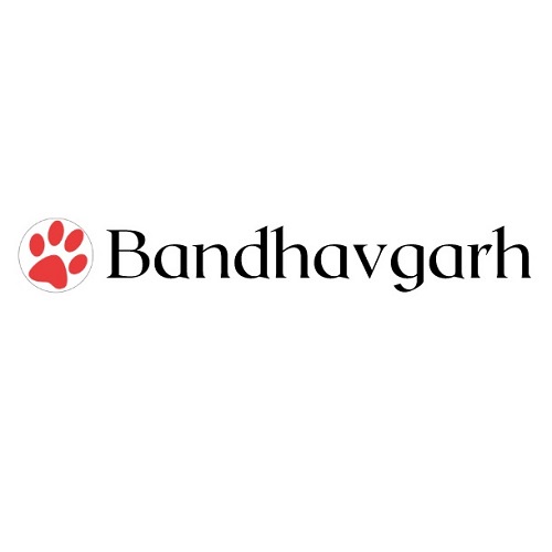How Does the Bandhavgarh Tiger Safari Accommodate Both Novice and Professional Photographers?