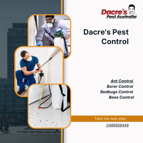 Dacres Pest Control : Solutions for a Safer Home