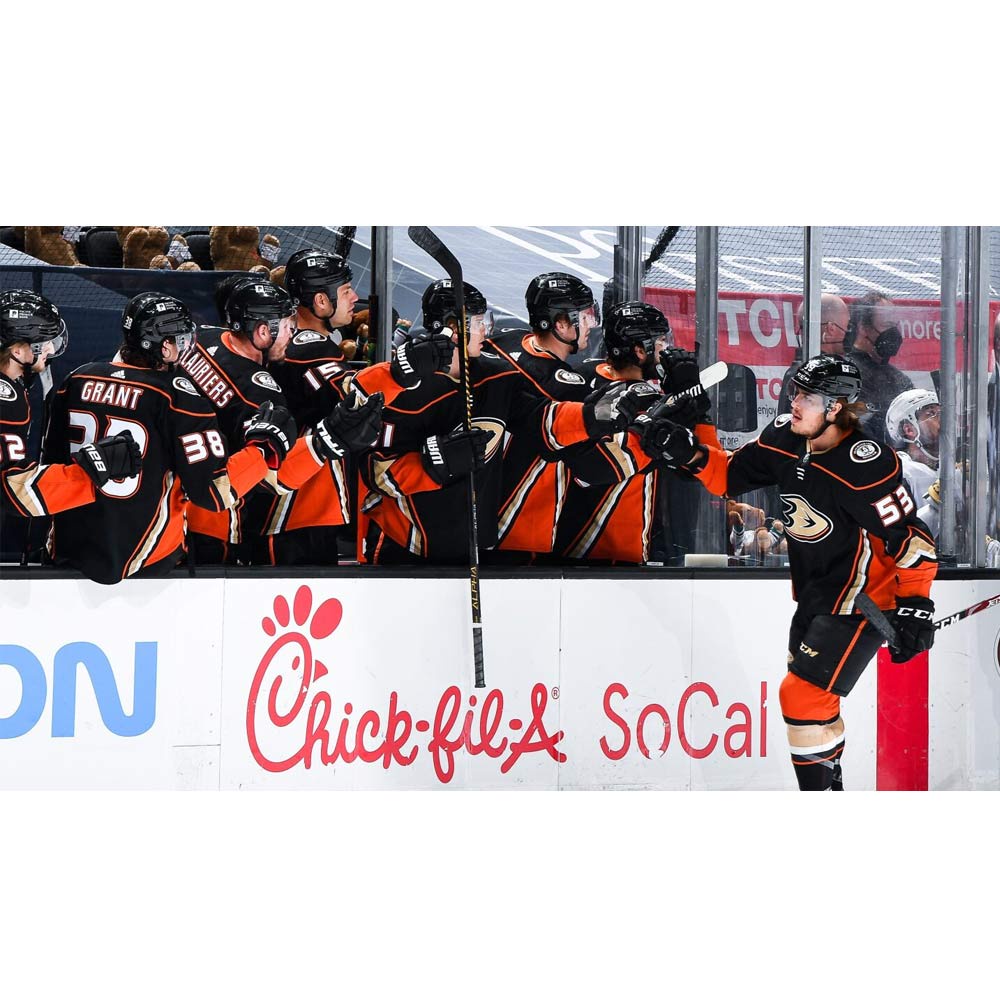 Anaheim Ducks Glide Towards Victory: New Strategies, Same Winning Spirit