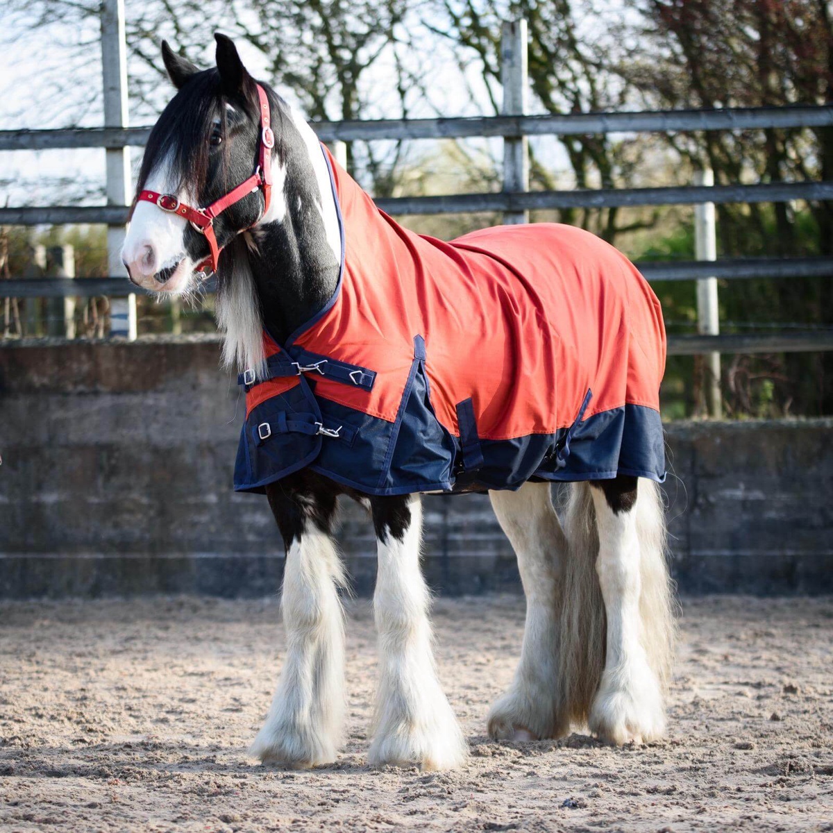 Can a Lightweight Turnout Rug Provide Sufficient Warmth and Protection for Horses During Mild Weather Conditions?